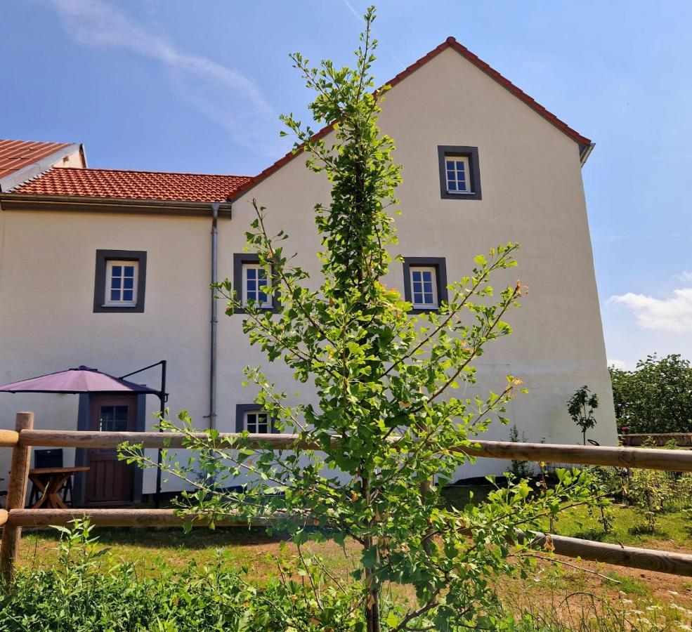 Ferienhaus "Entenhaus" Im Gutshaus De La Fontaine Feilsdorf ภายนอก รูปภาพ